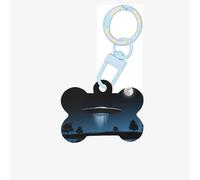 Piattino volante di notte stampa acrilico ornamento osso del cane, medagliette per cani ornamento personalizzato per animali domestici, portachiavi a forma di osso identificativo