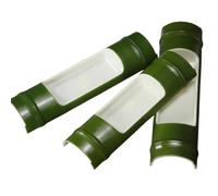 Piatto da Portata per Sushi in plastica Giapponese