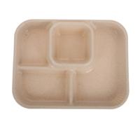 Piatto Dieta Vassoi Stoccaggio Degli Alimenti Vassoio Del Pranzo Scolastico