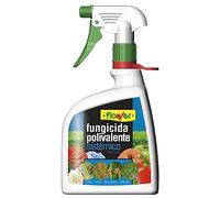 Piatto per dildo fung. Polaluce 1 l