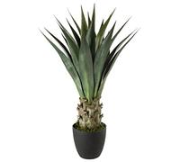 Piatto rotondo in agave Altezza 78 cm
