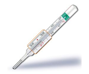 Pic Solution PIC TERMOMETRO VEDOECOPLUS V