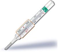 pic Termometro VedoEcoplus In Vetro Al Gallio 1 Pezzo