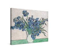 PICANOVA - Vincent Van Gogh Irises 2 40x30cm - Quadro su Tela - Stampa Incorniciata con Spessore di 2cm Altre Dimensioni Disponibili Decorazione Moderna