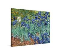 PICANOVA - Vincent Van Gogh Irises 40x30cm - Quadro Su Tela - Stampa Incorniciata Con Spessore Di 2cm Altre Dimensioni Disponibili Decorazione Moderna