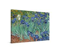 PICANOVA - Vincent Van Gogh Irises 60x40cm - Quadro Su Tela - Stampa Incorniciata Con Spessore Di 2cm Altre Dimensioni Disponibili Decorazione Moderna