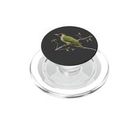 Picchio Verde Ornitologo Biologo Animale Uccello PopSockets PopGrip per MagSafe