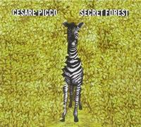 Picco Cesare - Secret Forest