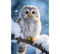 Piccola bandiera Tawny Owl Winter Wildlife Trees Scene Bandiera da