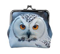 Piccola borsa per il trucco con occhi di gufo innevato, mini borsa portatile per cosmetici, per palestra e uso quotidiano, Nero , Taglia unica, Portamonete
