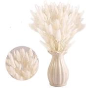 Piccola Erba Secca di Pampa,Coda di Coniglio Essiccata Mazzi di Erba 30 PCS Coda di Coniglio Pampa Erba Secca Naturale Fiore Artificiale per Matrimonio Decorazione D'interni Domestica Giardino Festa