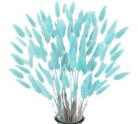 Piccola Erba Secca di Pampa,Coda di Coniglio Essiccata Mazzi di Erba 60 Coda di Coniglio Pampa Erba Secca Naturale Fiore Artificiale per Matrimonio Decorazione D'interni Domestica Giardino Festa,Blu