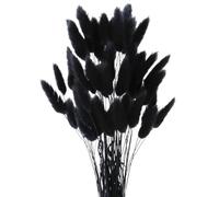 Piccola Erba Secca di Pampa,Coda di Coniglio Essiccata Mazzi di Erba 60 Coda di Coniglio Pampa Erba Secca Naturale Fiore Artificiale per Matrimonio Decorazione D'interni Domestica Giardino Festa,Nero