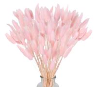 Piccola Erba Secca di Pampa,Coda di Coniglio Essiccata Mazzi di Erba 60 Coda di Coniglio Pampa Erba Secca Naturale Fiore Artificiale per Matrimonio Decorazione D'interni Domestica Giardino Festa,Rosa