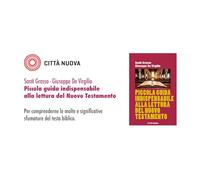 Piccola guida indispensabile alla lettura del Nuovo Testamento - Grasso Sa...