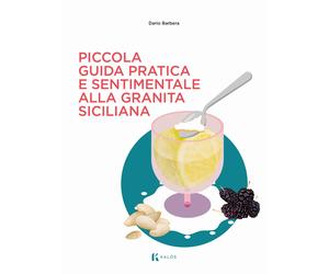 Piccola guida pratica e sentimentale alla granita siciliana - Barbera Dario
