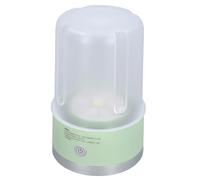 Piccola Lavatrice, Piccola Lavatrice Portatile, Motore Potente, Drenaggio Manuale, Pulizia Profonda Semiautomatica, Capacità di 1 Kg per Biancheria Intima per Hotel (GREEN)