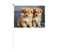 Piccola mini bandiera portatile con cuccioli di Pomerania e punto, per giochi sportivi e festival, decorazione da parata, 14 x 20,8 cm