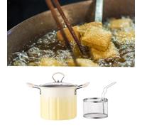 Piccola pentola friggitrice con frigorifero 3L Capacità per patatine fritte