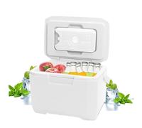 Piccola scatola fresca 6L SICCURA PICCOLA CONTENI con 5 confezioni di ghiaccio 72-96 H Freezer isolato a perdite di perdite di raffreddamento a perdita con maniglia per viaggi in campeggio barbecue