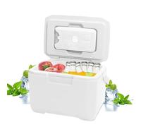 Piccola scatola fresca 6l Small Refrigeratore con 5 confezioni di ghiaccio 72-96 H Freezer isolato a perdita di fulmina di raffreddamento a perdita con maniglia per picnic da viaggio in campeggio ba