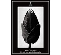 Piccola storia della fotografia. Ediz. illustrata