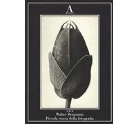 Piccola storia della fotografia. Ediz. illustrata