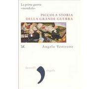 Piccola storia della grande guerra