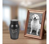 Piccola Urn Contenitore Cinerario Per Animali Domestici Urna Le Ceneri