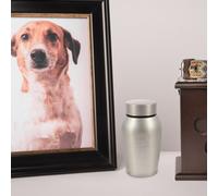 Piccola Urn Urna Per Animali Domestici in Acciaio Inossidabile Di Cenere