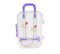 Piccola valigetta per regali - contenitore trasparente, scatola da viaggio per compleanni | Mini scatola regalo per matrimoni, anniversari, vecchia decorazione per la casa, scatola per