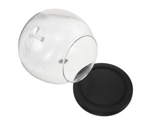 Piccola vetrina in : vetrina a campana in per fiori eterni con base