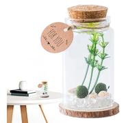 Piccole Bottiglie Di | Contenitore In,Vasetto con Tappi in Legno Decorazione per Cucina Regalo con Messaggi di Auguri per Amici e Famiglia