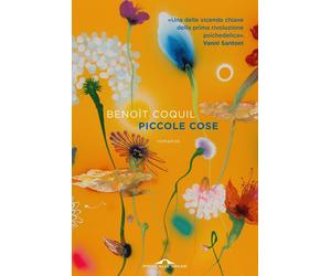 Piccole cose [Paperback] [Oct 11, 2024] Coquil, Benoît
