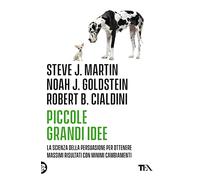 Piccole grandi idee. La scienza della persuasione per ottenere massimi risultati con minimi cambiamenti