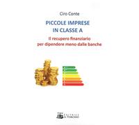 Piccole imprese in classe A. Il recupero finanziario per dipendere meno da...