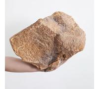 Piccole rocce finte, leggere e resistenti; pietre decorative da esterno; rocce artificiali realistiche e altamente realistiche per l’architettura paesaggistica; resistenti alle intemperie(Yellow,2)
