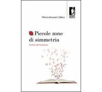 Piccole zone di simmetria. Scrittori del Novecento