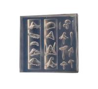 Piccoli Accessori Arte Forme Delicati Stampi Unghie Per Illuminare Le Forme