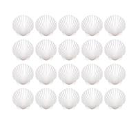 Piccoli Gusci per Artigianato | 20 pezzi di decorativi | Conchiglie per Decorazioni da Spiaggia e Nozze | Per fornai, pittori, adulti, bambini, hobbisti, soggiorno, camera da , studio, acquario, aula