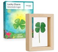 Piccoli Portafortuna : Vero Quadrifoglio da Regalare in Cornice di Legno - Piccolo Regalo per la Fortuna - Regali Incoraggianti - Idee Regalo Speciali - Portafortuna Esame - Inovida