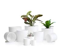 Piccoli vasi da giardino (16,5 cm/15,2 cm/14 cm/12,7 cm/11,4 cm/10,2 cm/8,9 cm/7,6 cm/6,3 cm/5,1 cm) set di 10 vasi in plastica per piante grasse, con foro di drenaggio e piattino, vasi per piante