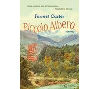 Piccolo Albero