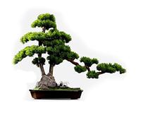 Piccolo Albero Bonsai Artificiale Albero Artificiale Artificiale Bonsai Decorazione di Piante finte Vaso di Fiori in Ceramica Pietra Cavallo Soggiorno Ornamenti per Desktop e Ufficio Soggiorno Pianta