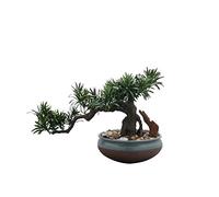 Piccolo Albero Bonsai Artificiale Bonsai Artificiale Pino Artificiale di Benvenuto Soggiorno Portico Piante finte Zen in Vaso Sala da tè Ornamenti per Portico 11,4 Pollici Soggiorno Pianta Finta