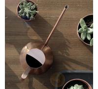 Piccolo Annaffiatoio Interna per la Casa Piante in Acciaio Inox Irrigazione