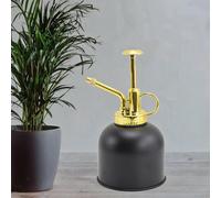 Piccolo annaffiatoio ricaricabile contenitore per piante Mister Spray Bottle