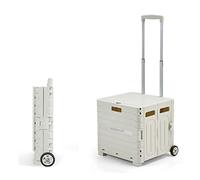 Piccolo carrello della spesa, Carrello a mano compatto con cestino e ruote silenziose, carrello di grande capacità da 65 litri(White,2-wheel)