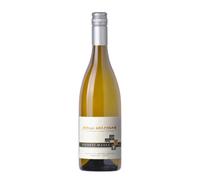 PICCOLO DERTHONA Tappo Vite 2024 - Vigneti Massa