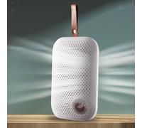 Piccolo deumidificatore elettrico spina UE mini essiccatore d'aria per auto